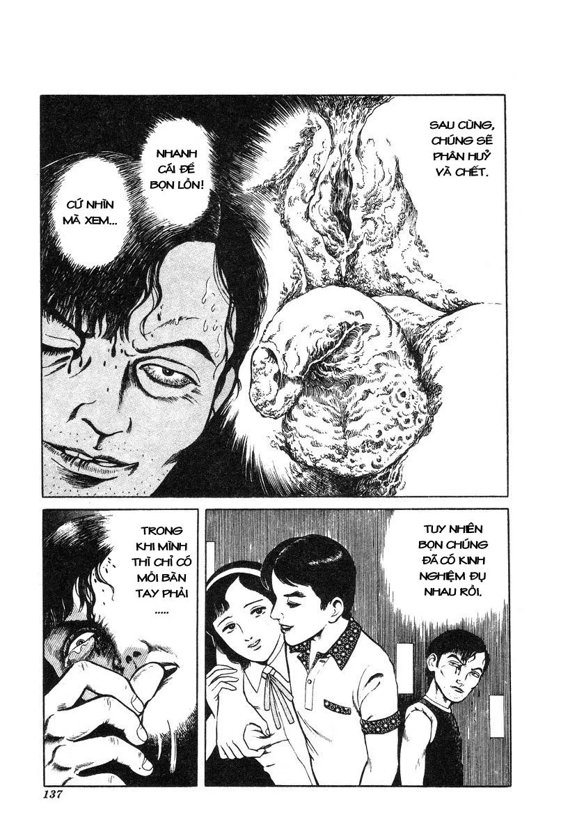 HentaiVN.net - Ảnh 10 - This Is Art - Chap 9