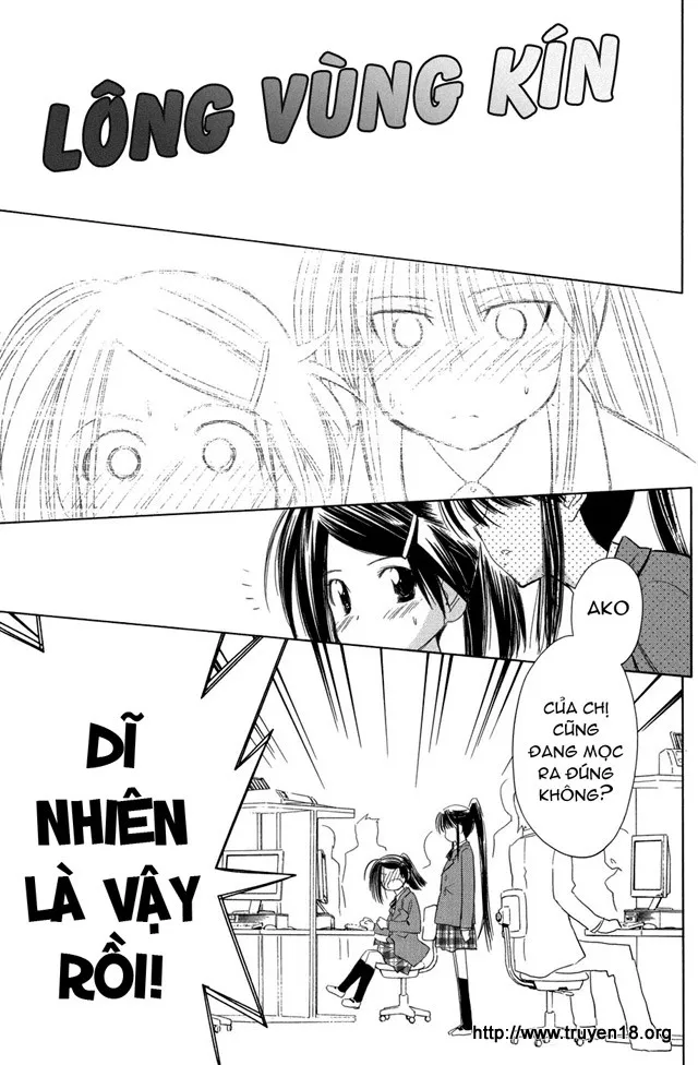 HentaiVN.net - Ảnh 5 - Kiss X Sis [きすしす; 亲吻姐姐; KissxSis; Kiss×sis] - Chap 11
