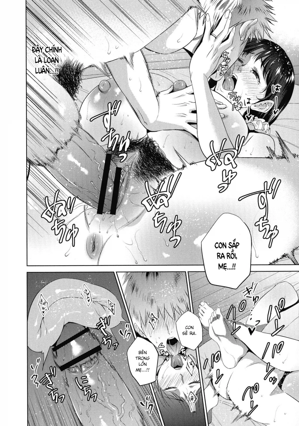 HentaiVN.net - Ảnh 22 - Ngày mà tôi hoà làm một với mẹ [Haha to Majiwaru Hi; Apart to Haha] - Chap 1