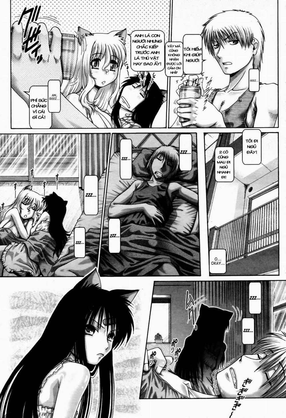 HentaiVN.net - Ảnh 9 - Catnip Panic [Matatabi Panic] - Chap 7
