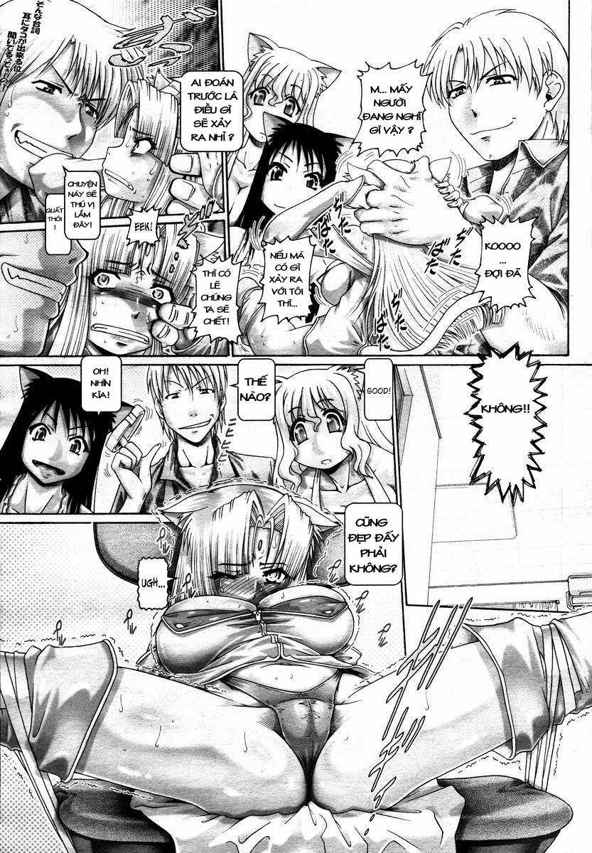 HentaiVN.net - Ảnh 10 - Catnip Panic [Matatabi Panic] - Chap 9