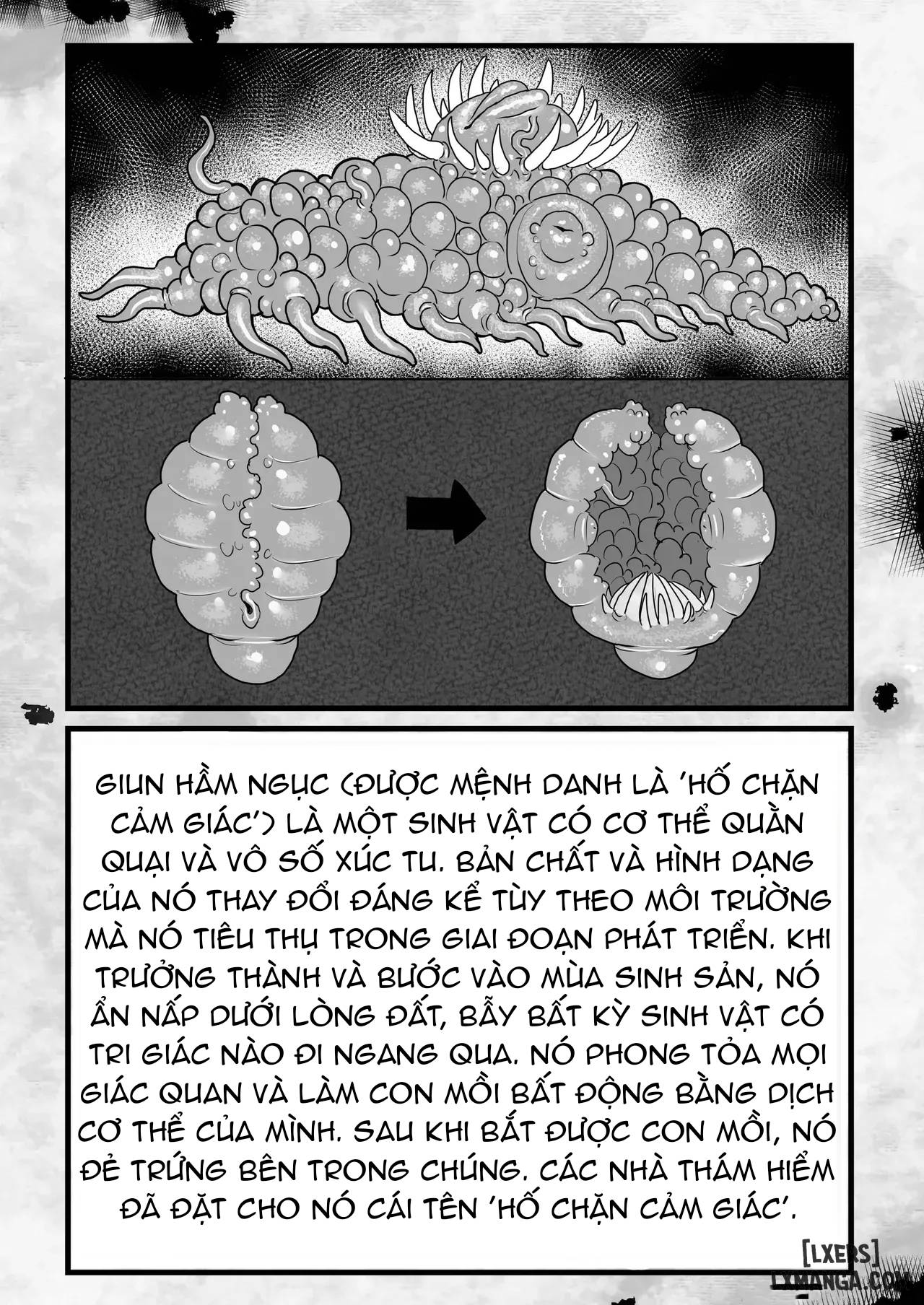 HentaiVN.net - Ảnh 35 - Sei no mamono - Oneshot
