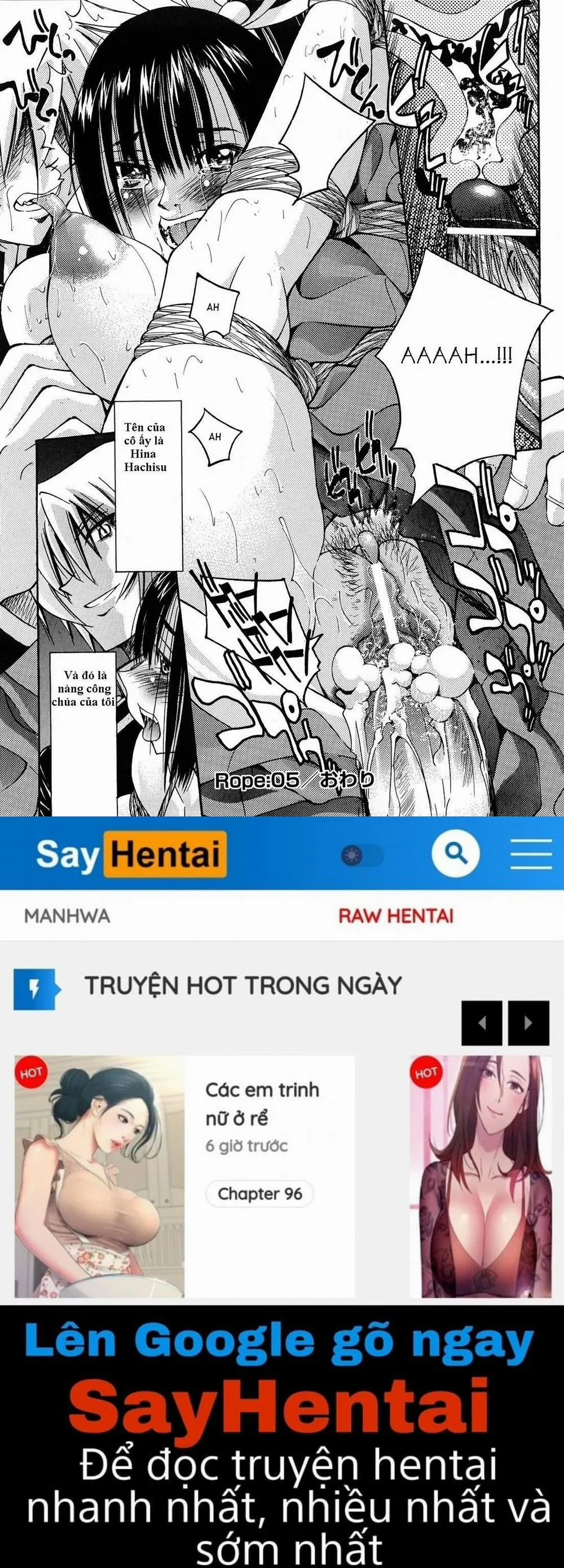 HentaiVN.net - Ảnh 20 - Nawashi - Chương 5