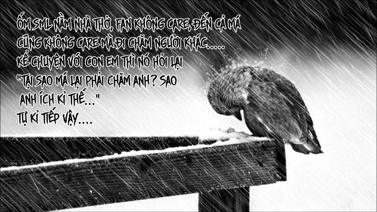 HentaiVN.net - Ảnh 21 - Chin☆COMPLETE - Chap 1