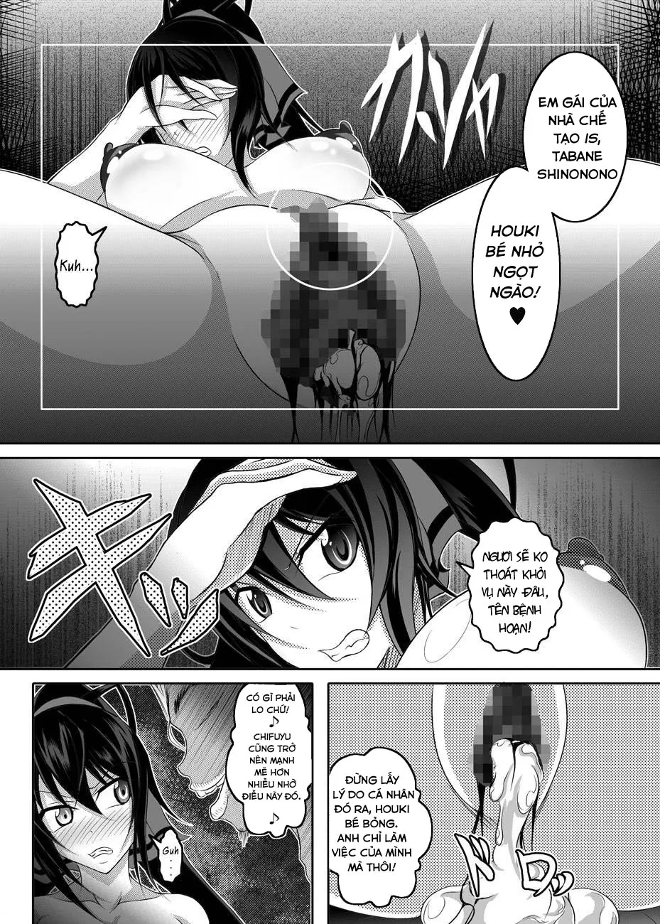 HentaiVN.net - Ảnh 12 - Girls Meet DQN's Tinpo (Infinite stratos) - Oneshot