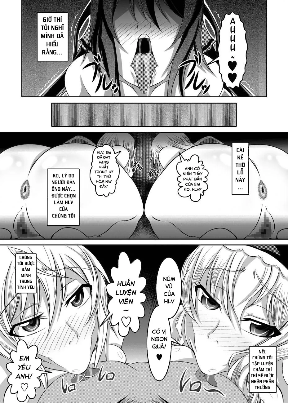 HentaiVN.net - Ảnh 21 - Girls Meet DQN's Tinpo (Infinite stratos) - Oneshot