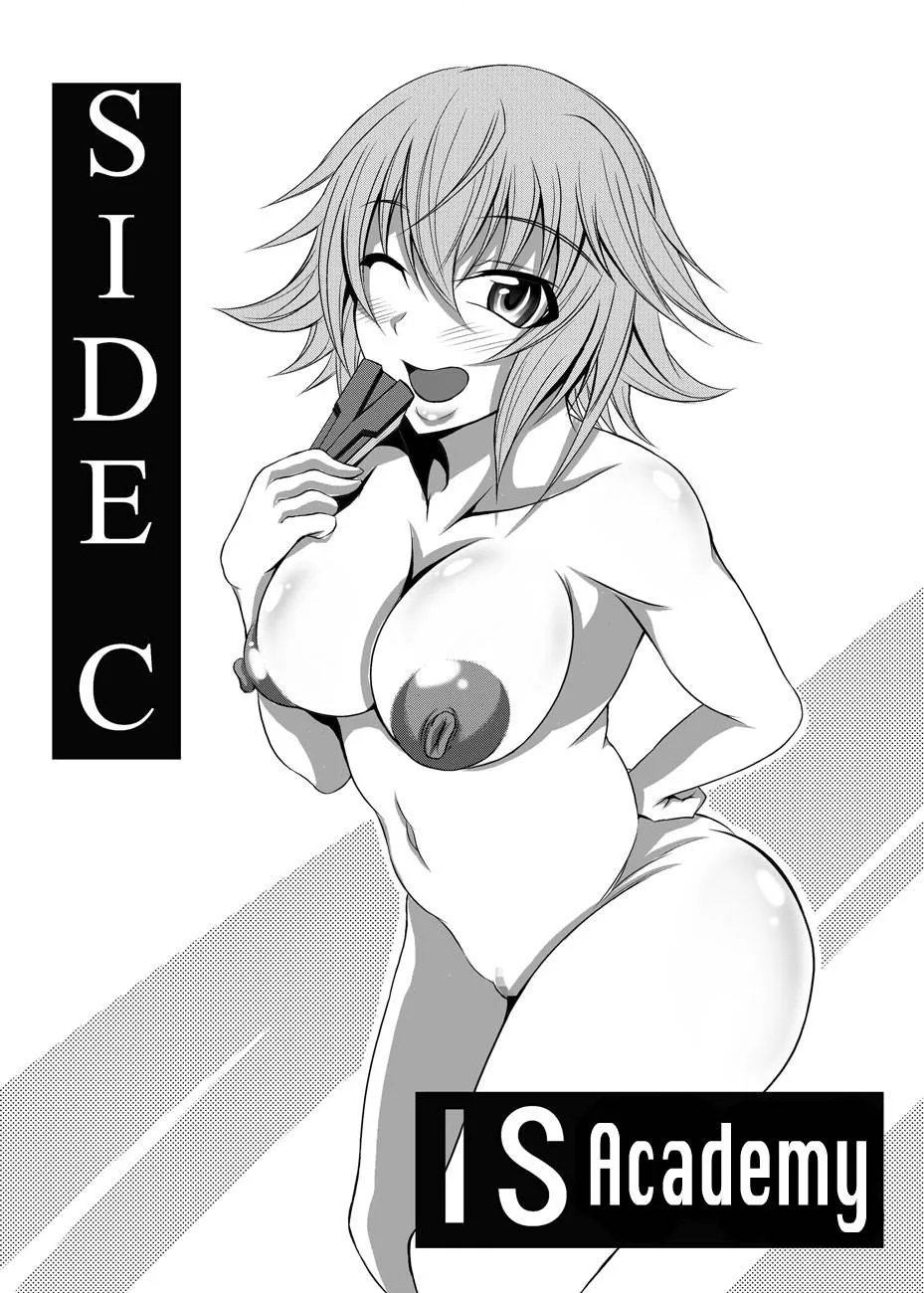 HentaiVN.net - Ảnh 32 - Girls Meet DQN's Tinpo (Infinite stratos) - Oneshot