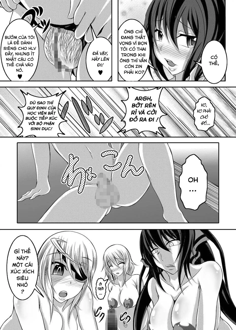 HentaiVN.net - Ảnh 41 - Girls Meet DQN's Tinpo (Infinite stratos) - Oneshot