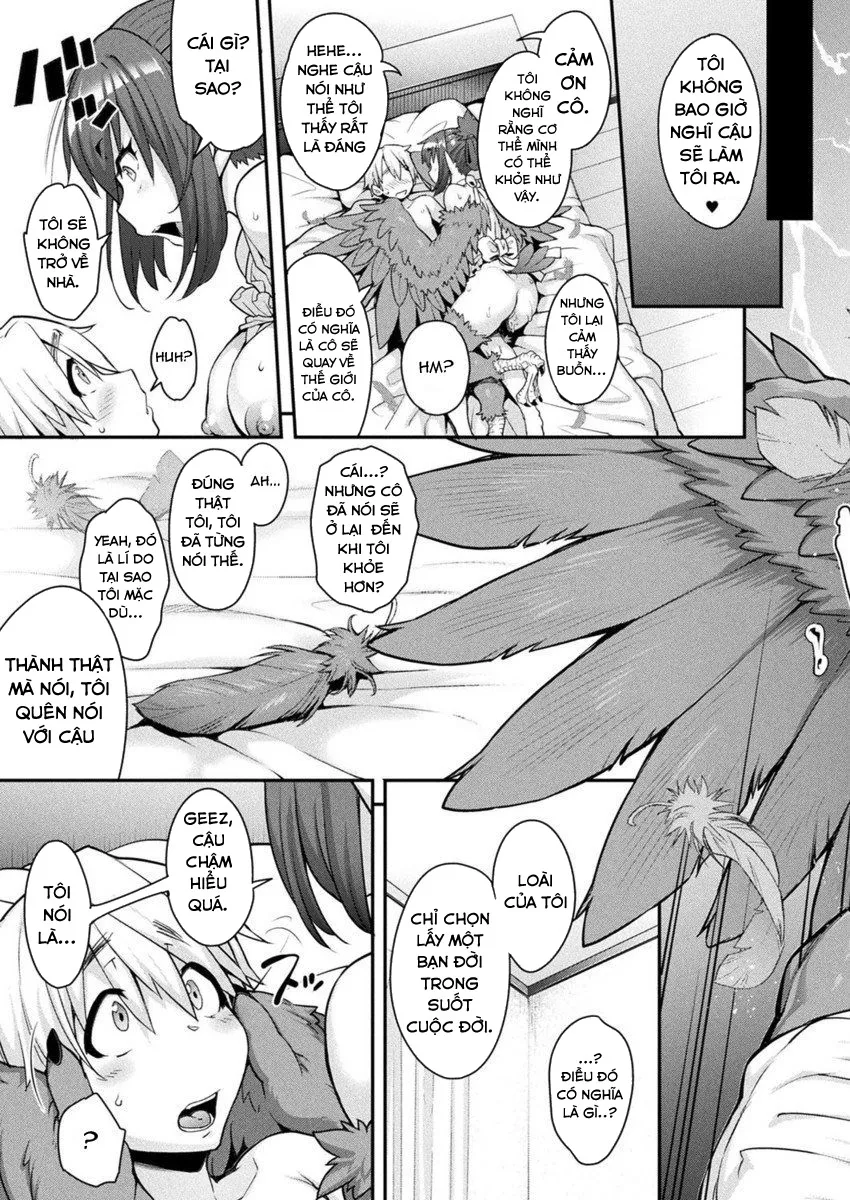 HentaiVN.net - Ảnh 22 - Kemonokko Tsushin - Chap 2 - Toriko Rupia
