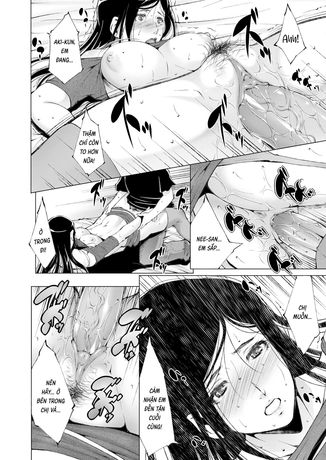 HentaiVN.net - Ảnh 17 - Chị gái đích thực của tôi - Oneshot
