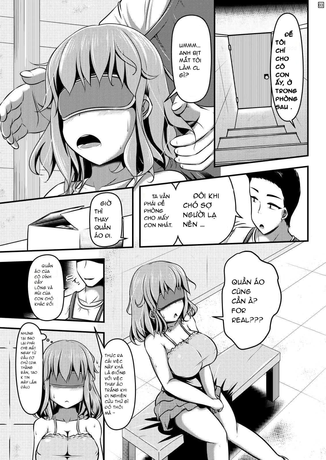 HentaiVN.net - Ảnh 4 - Many Orders Of Pet Shop [Chuumon no Ooi Pet Shop] - Oneshot