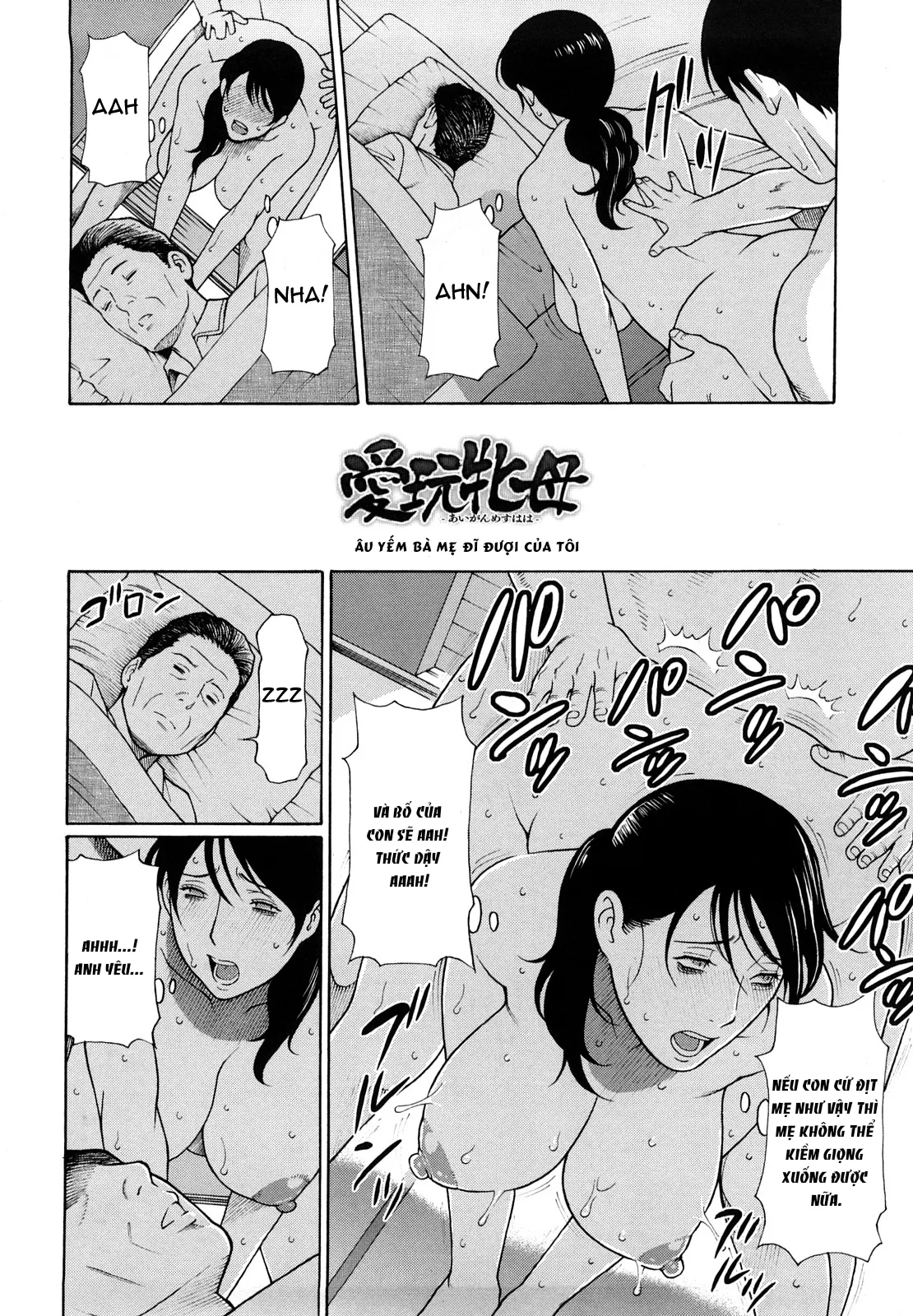 HentaiVN.net - Ảnh 3 - Âu yếm bà mẹ đĩ đượi của tôi [Aigan Mesu Haha; Petting My Bitch Mother (Kindan no Haha-Ana)] - Oneshot