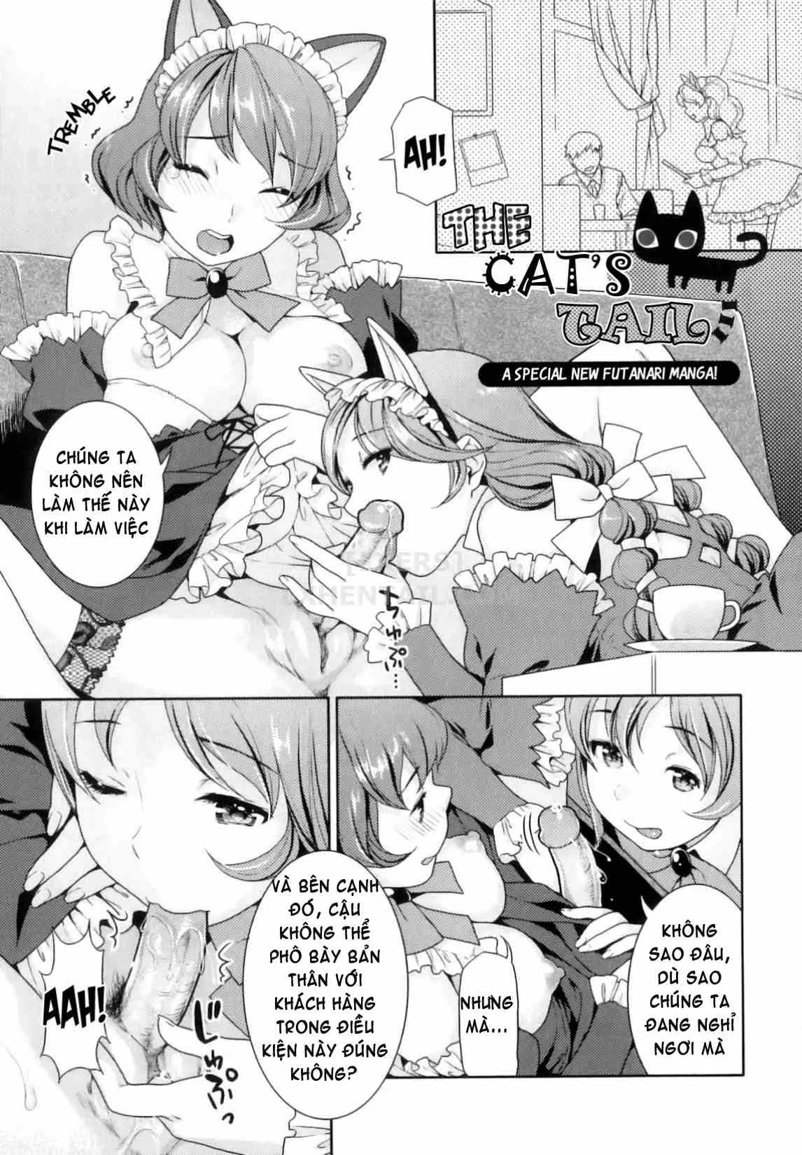 HentaiVN.net - Ảnh 10 - Futanari Relations - Chap 6 - [END]
