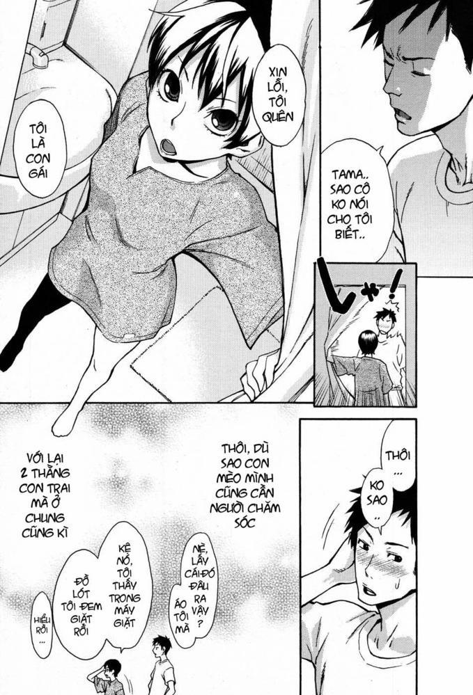 HentaiVN.net - Ảnh 8 - Tama from Third Streets [Tama From Third Street] - Chap 1
