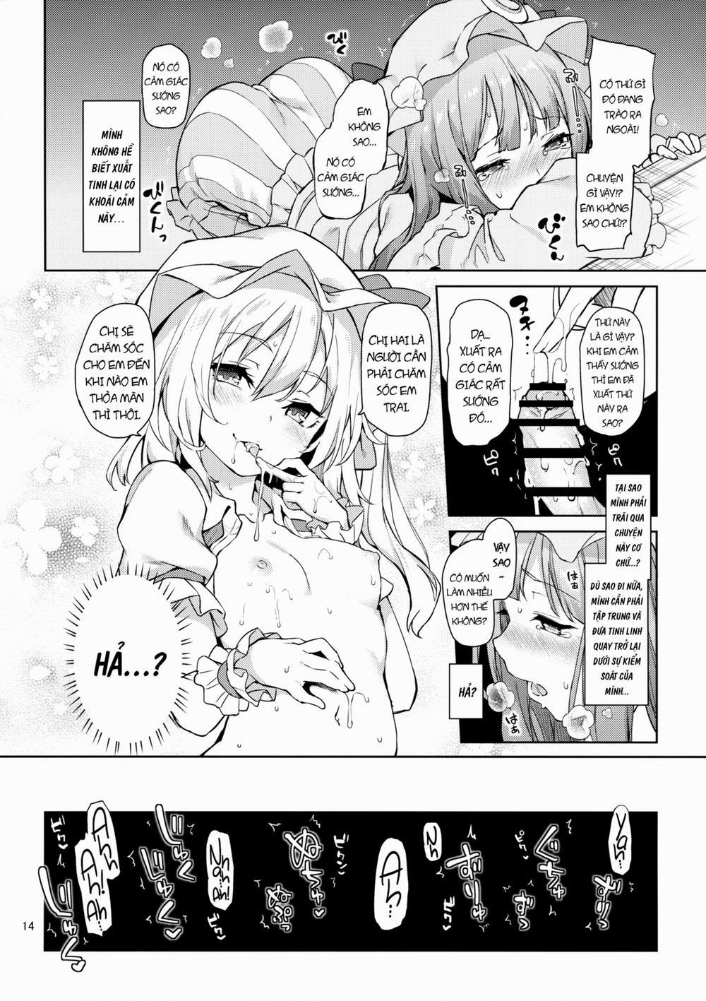 HentaiVN.net - Ảnh 16 - Osewa Shinaide Flan Onee-chan! (Touhou) [Don't Take Care Of Me, Flan Onee-chan!] - Oneshot
