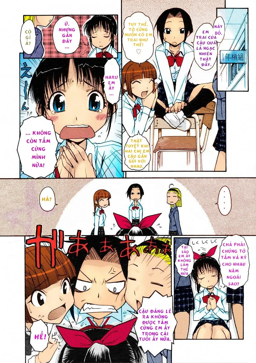 HentaiVN.net - Ảnh 4 - Onee-chan Senyou! [Onee-Chan Exclusive; Decensored] - Oneshot