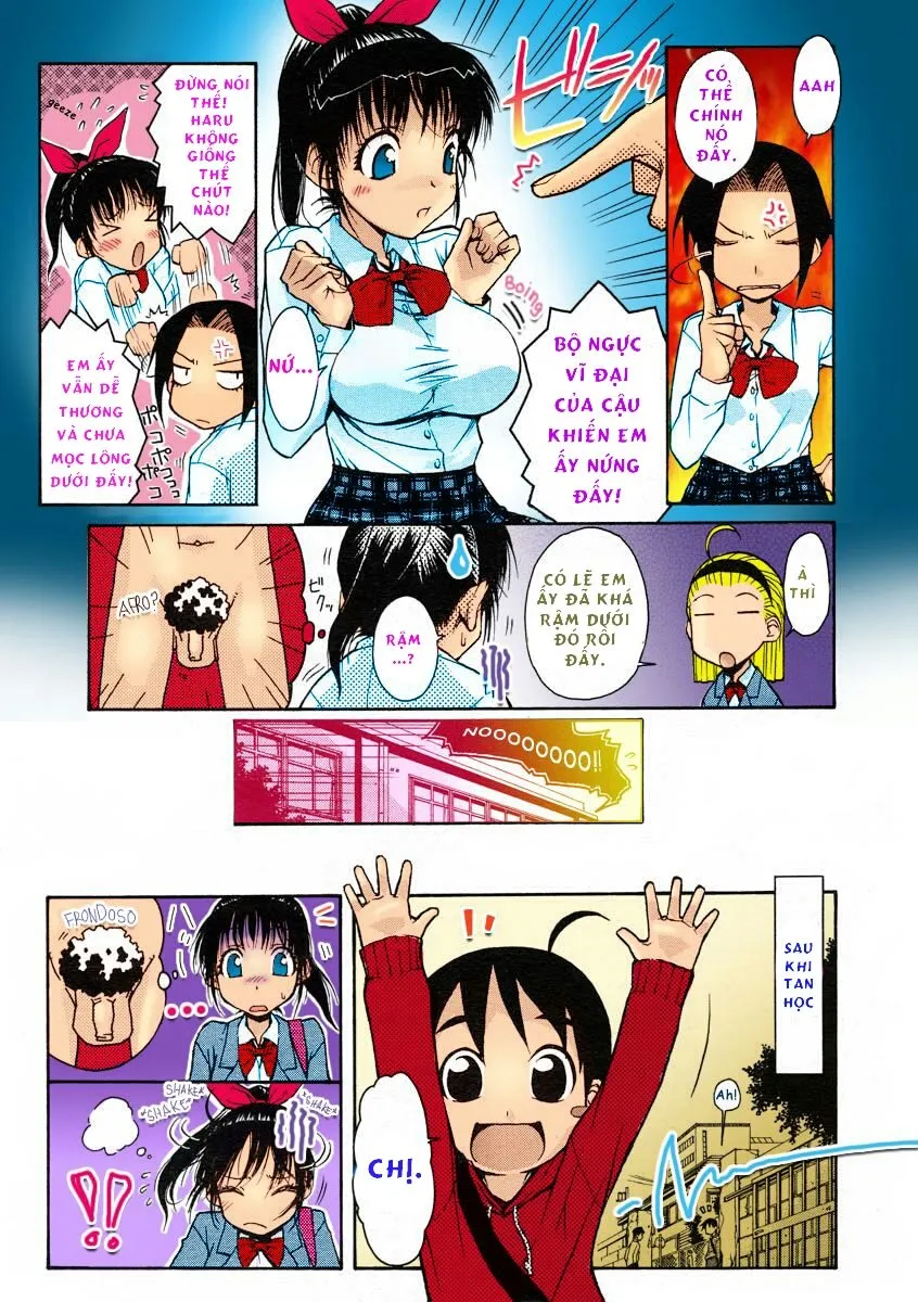 HentaiVN.net - Ảnh 5 - Onee-chan Senyou! [Onee-Chan Exclusive; Decensored] - Oneshot