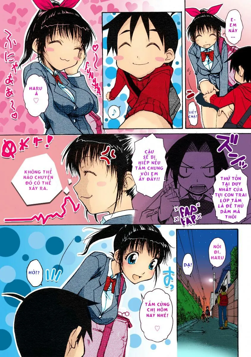 HentaiVN.net - Ảnh 6 - Onee-chan Senyou! [Onee-Chan Exclusive; Decensored] - Oneshot