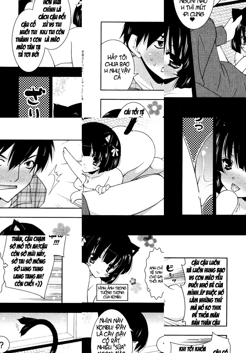 HentaiVN.net - Ảnh 24 - Test mã hóa - Chap 1
