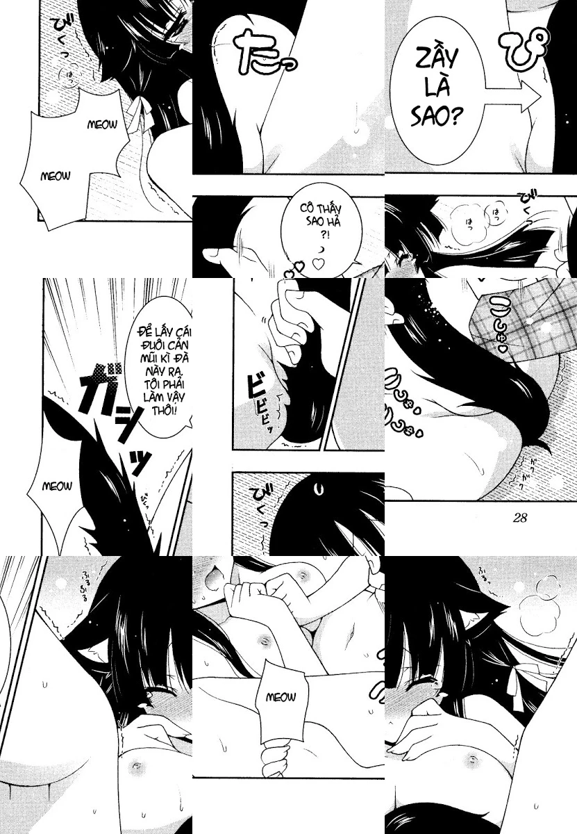 HentaiVN.net - Ảnh 34 - Test mã hóa - Chap 1