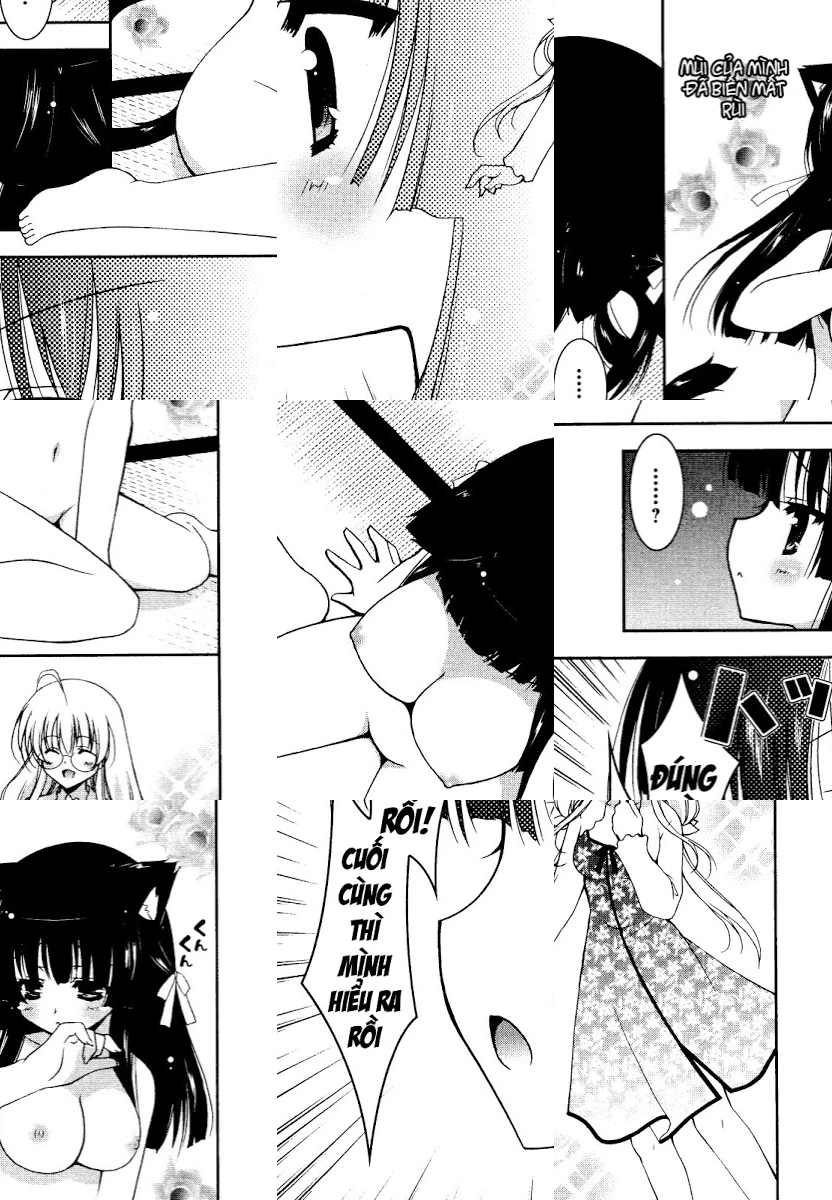 HentaiVN.net - Ảnh 19 - Test mã hóa - Chap 2