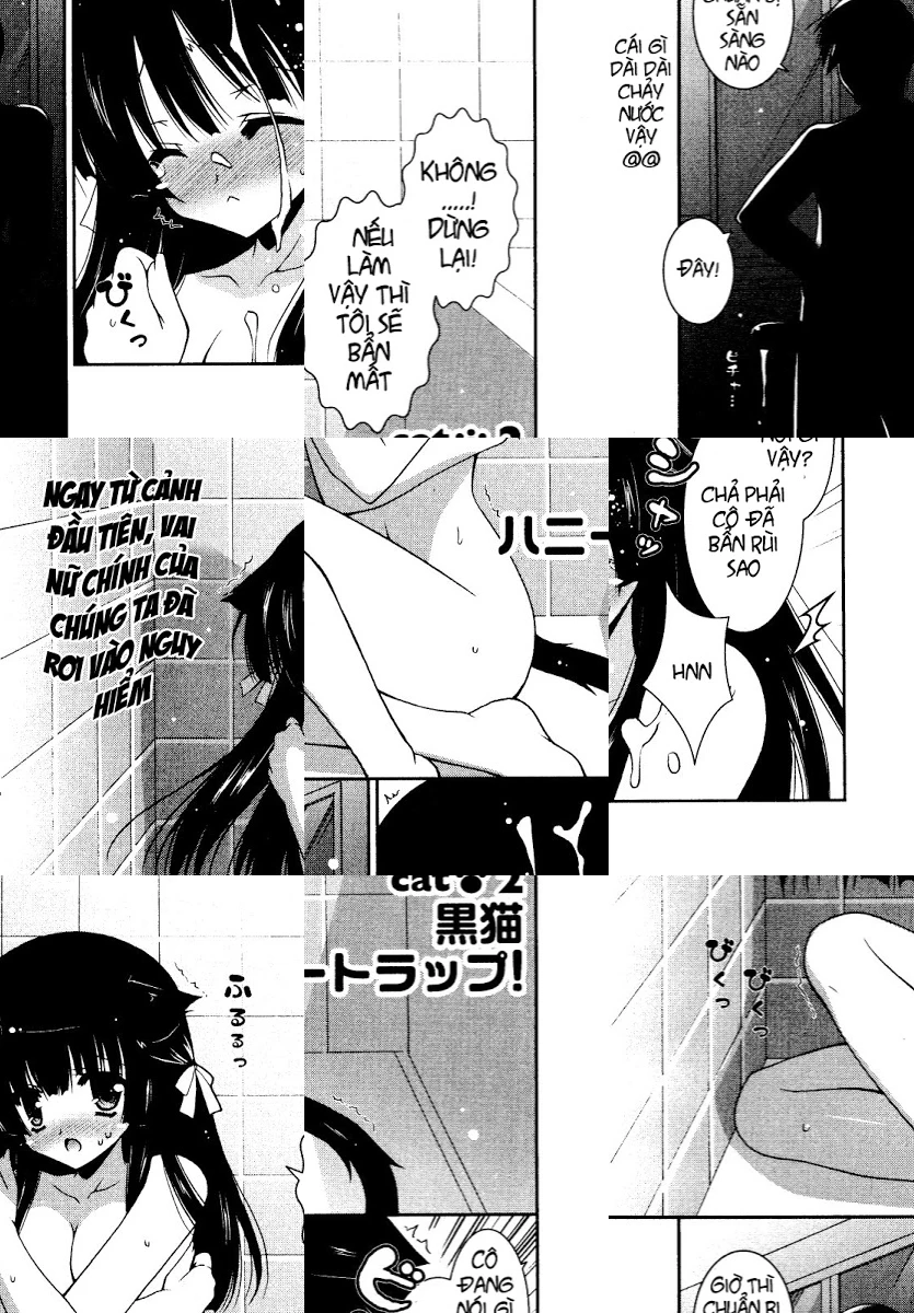 HentaiVN.net - Ảnh 3 - Test mã hóa - Chap 2