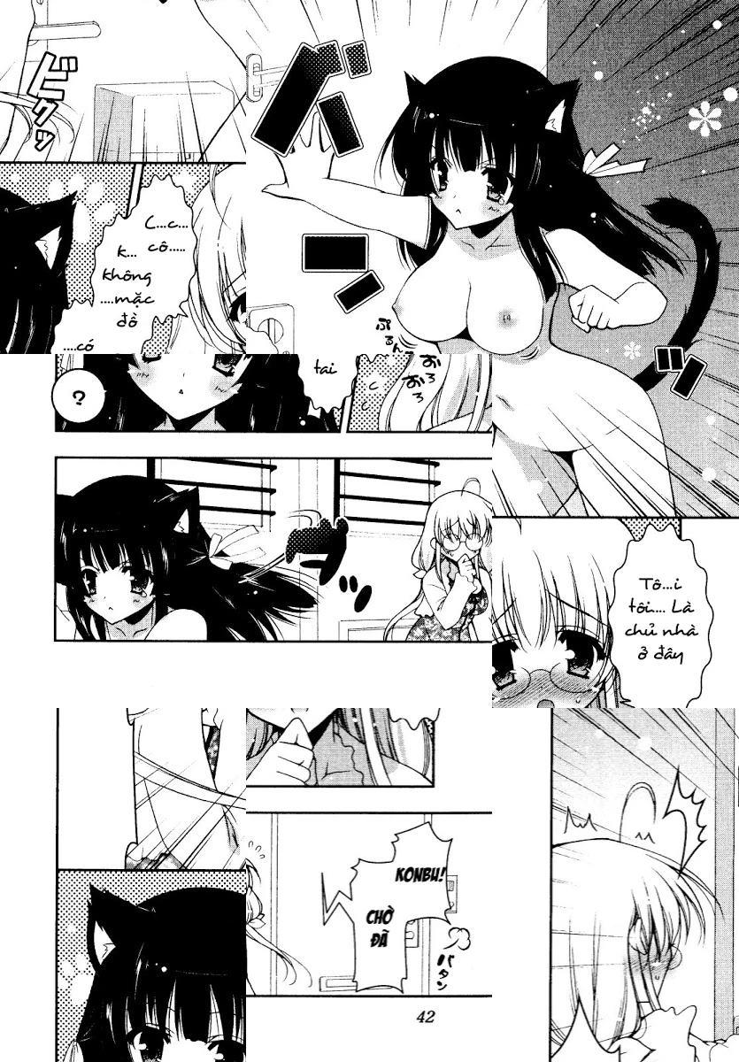 HentaiVN.net - Ảnh 10 - Test mã hóa - Chap 2