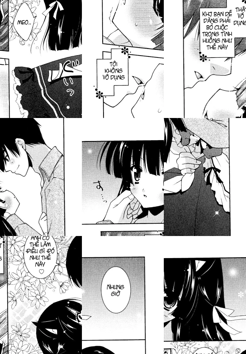 HentaiVN.net - Ảnh 21 - Test mã hóa - Chap 3