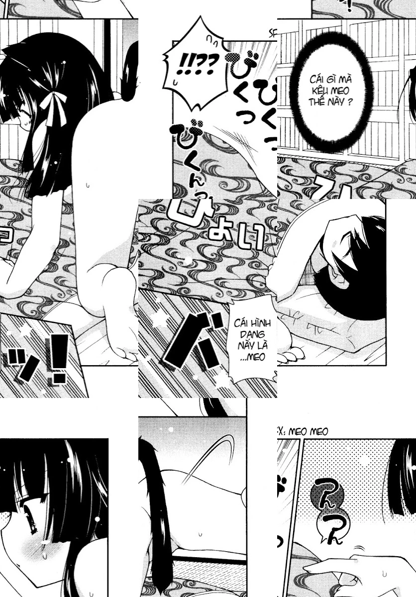 HentaiVN.net - Ảnh 27 - Test mã hóa - Chap 3