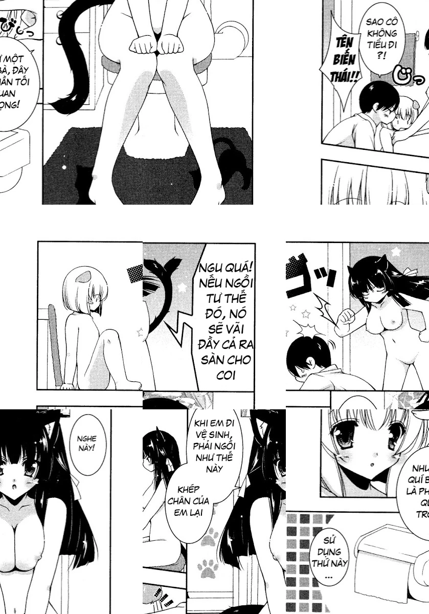 HentaiVN.net - Ảnh 12 - Test mã hóa - Chap 4