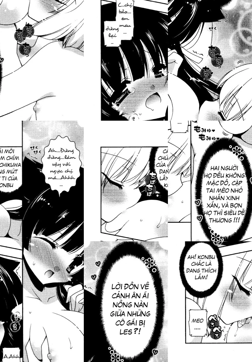HentaiVN.net - Ảnh 17 - Test mã hóa - Chap 4