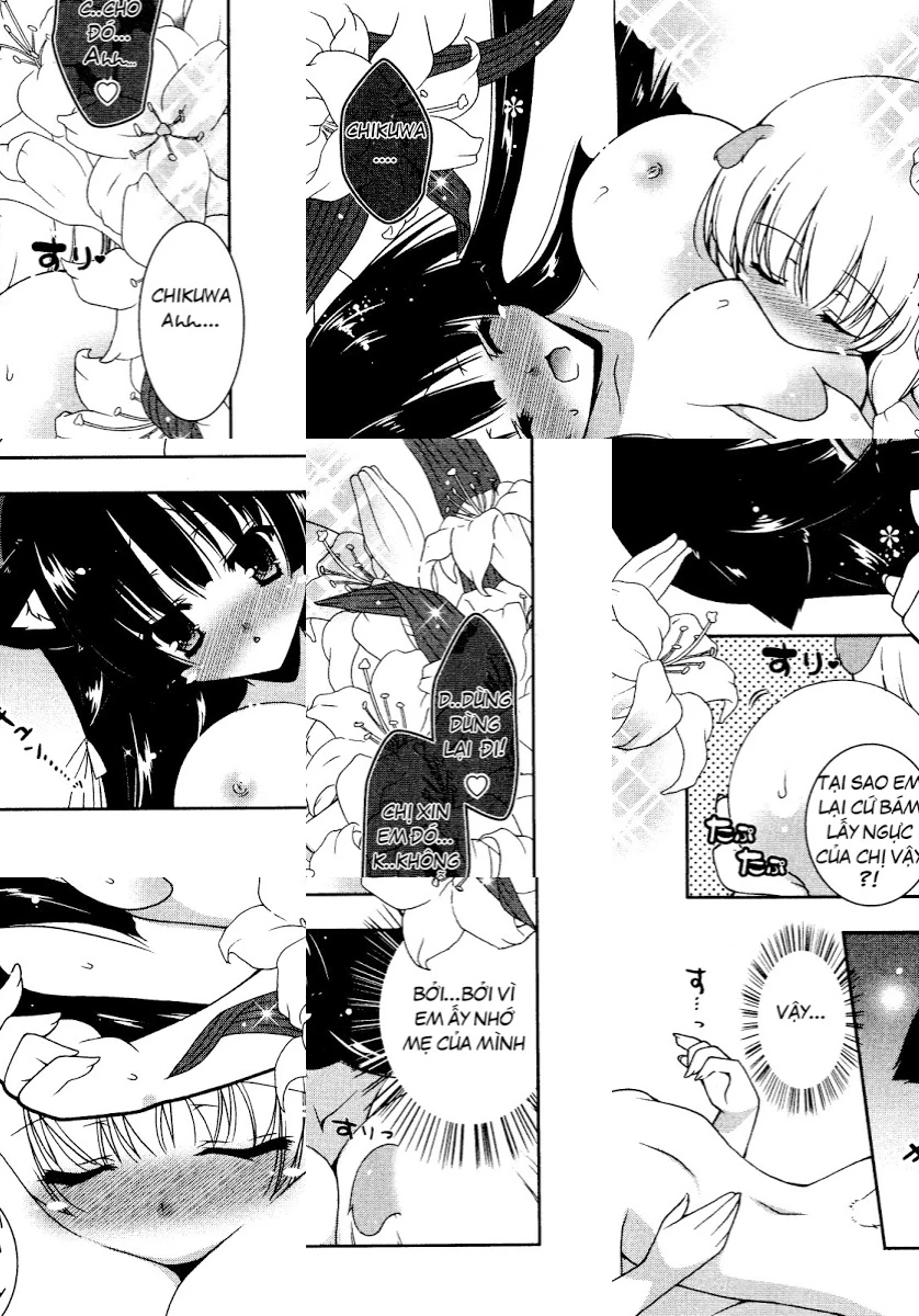 HentaiVN.net - Ảnh 18 - Test mã hóa - Chap 4
