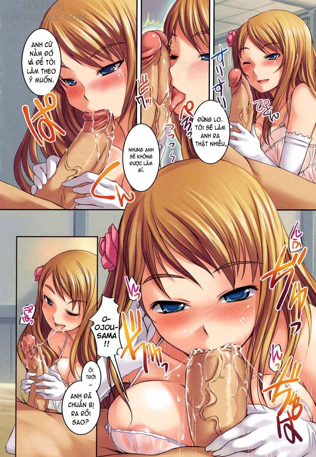 HentaiVN.net - Ảnh 14 - Ojou-sama wa H ga Osuki - Chap 1