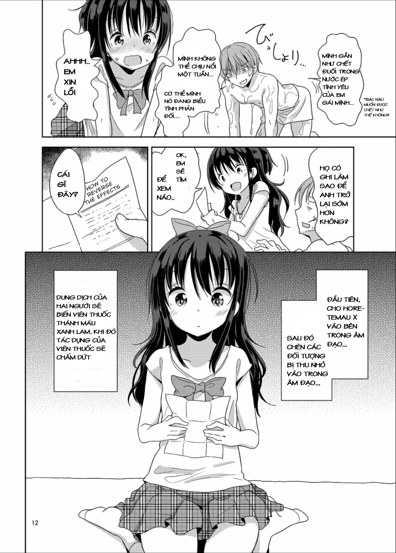 HentaiVN.net - Ảnh 12 - Những ngày [Little Sister With Grande Everyday] - Chap 1