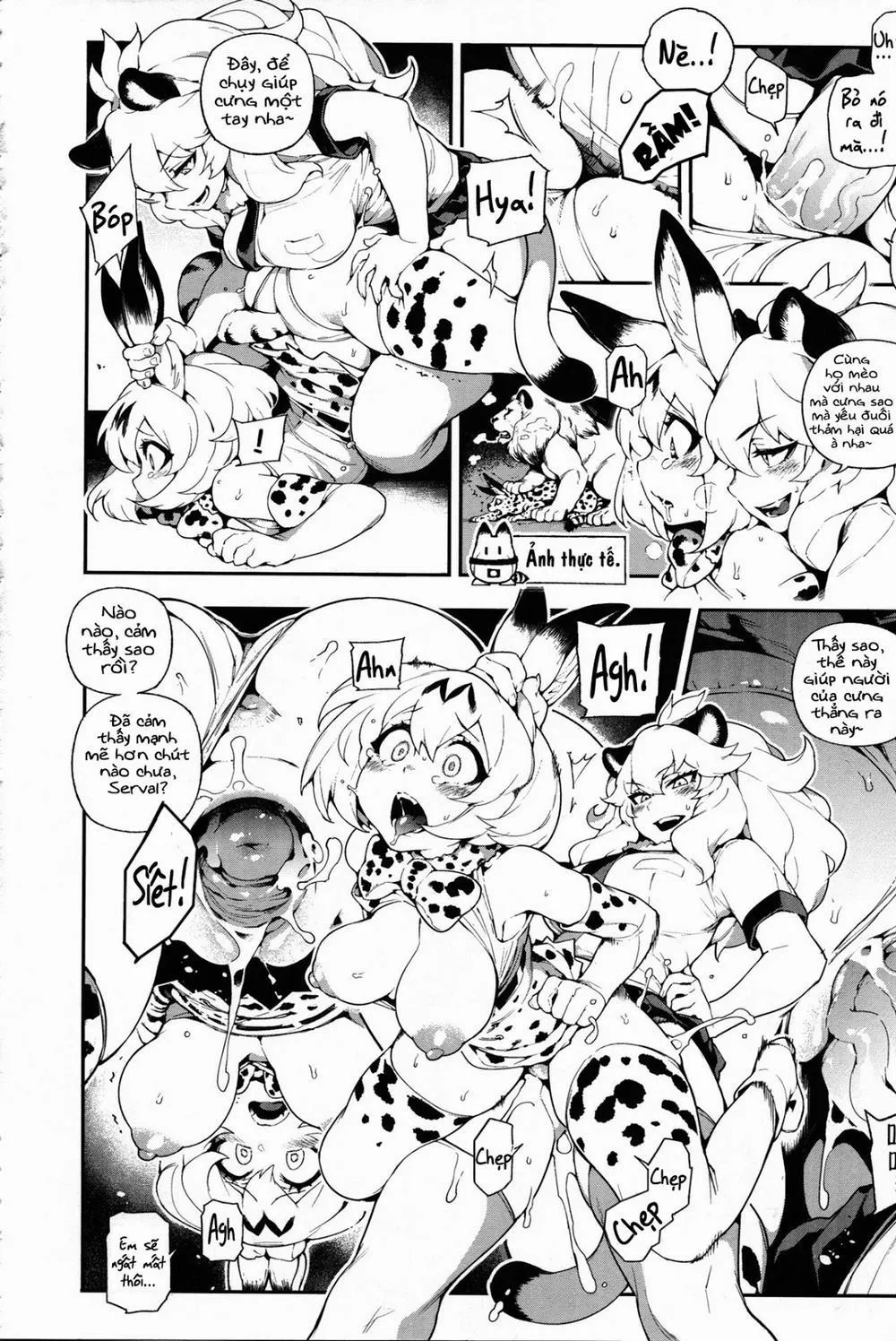 HentaiVN.net - Ảnh 9 - Beast friend (Kemono Friends) - Oneshot