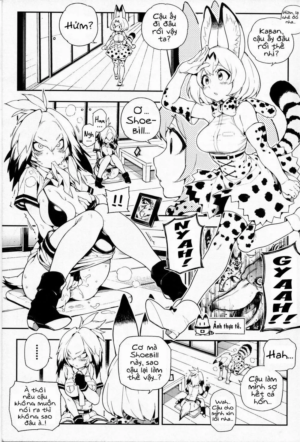 HentaiVN.net - Ảnh 3 - Beast friend (Kemono Friends) - Oneshot