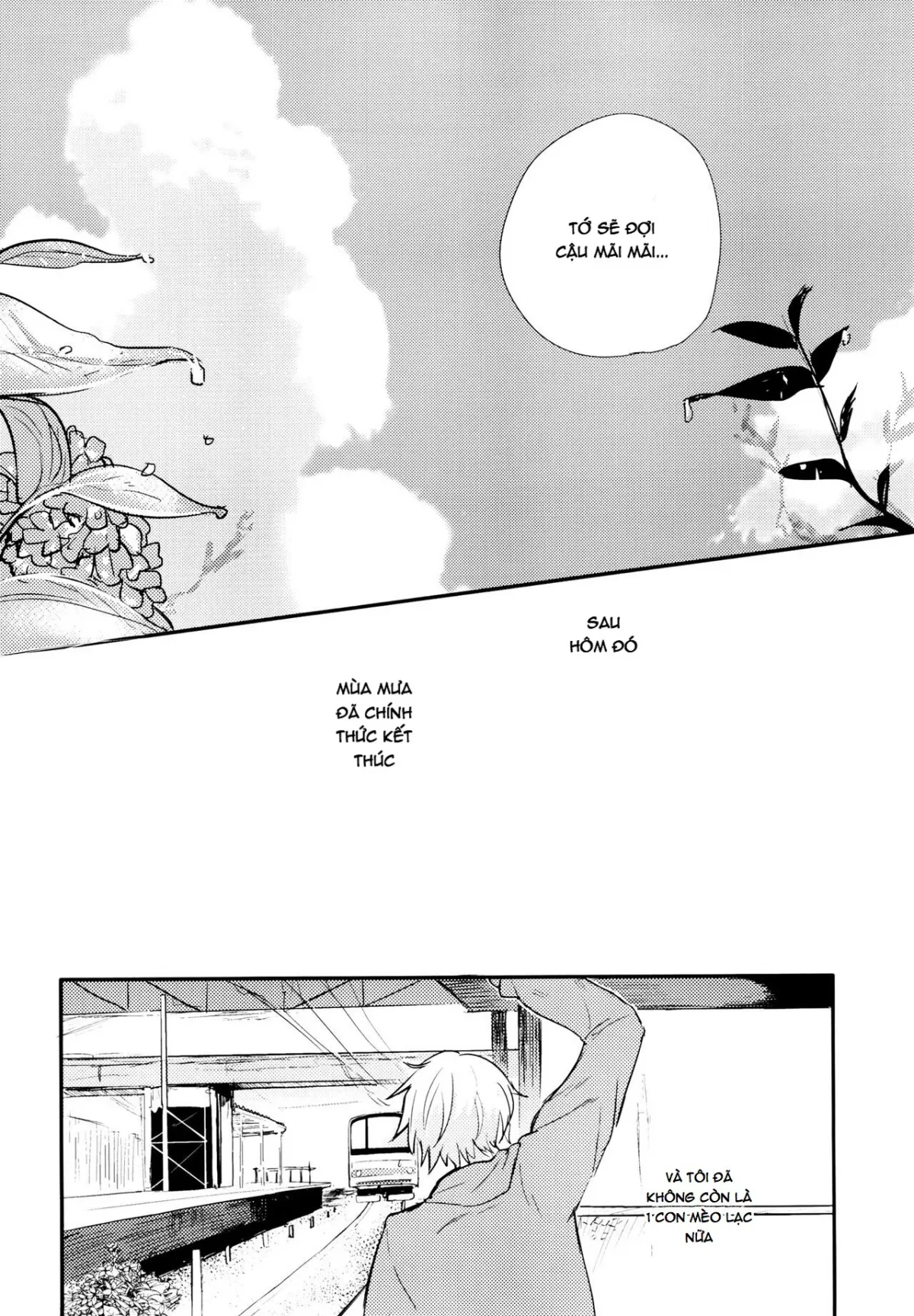 HentaiVN.net - Ảnh 20 - Chú mèo lạc và những ngày mưa [Nora Neko to Rainy Days; のらねことレインデイズ] - Chap 3 [End]