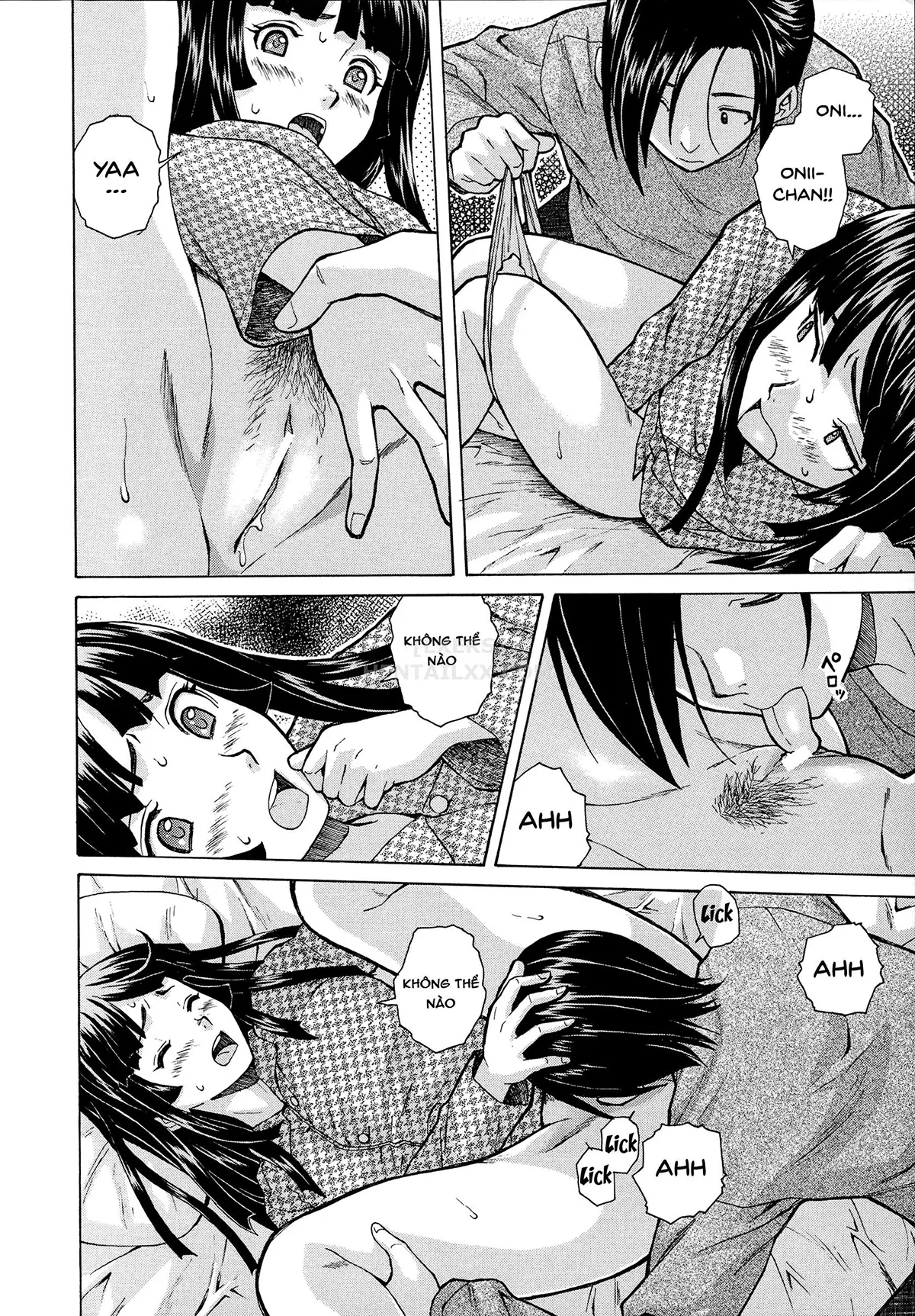 HentaiVN.net - Ảnh 42 - Ani To Imouto No Jijou. - Chap 1