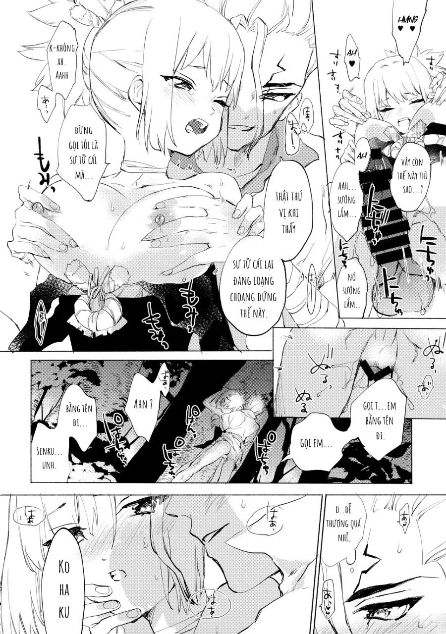 HentaiVN.net - Ảnh 28 - mùa hè rực rỡ trong thế giới đá - Chap 1
