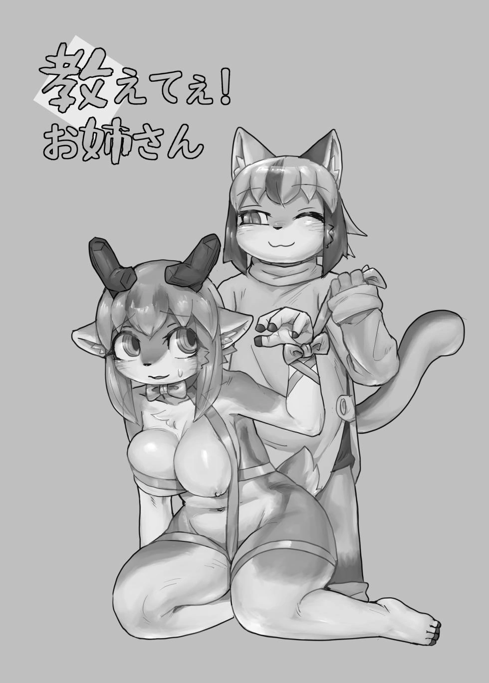 HentaiVN.net - Ảnh 3 - Dạy giúp em đi mà! Onee-san - Chap 1