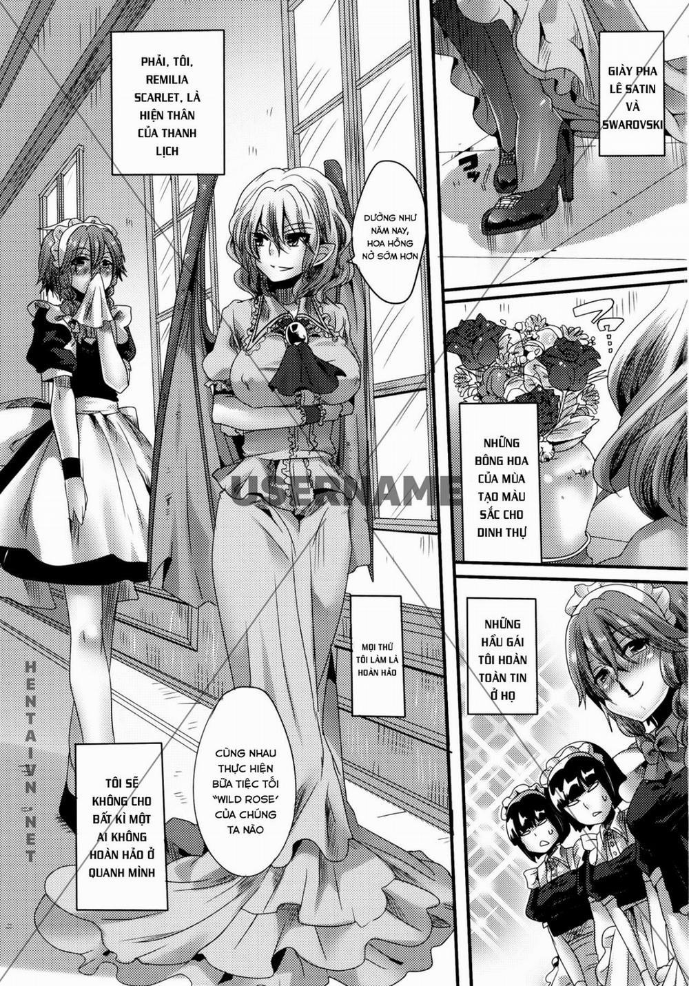 HentaiVN.net - Ảnh 3 - Otonaka Fla-Remi Hon (Touhou Project) [Adult Transformation FlanRemi Book] - Chap 1