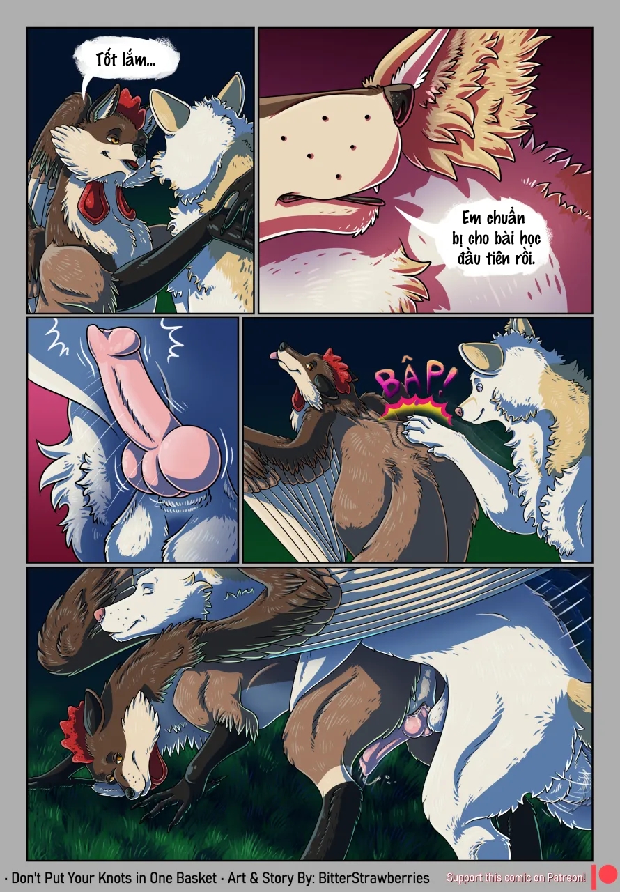 HentaiVN.net - Ảnh 29 - Don't Put Your Knots in One Basket - Chap 1