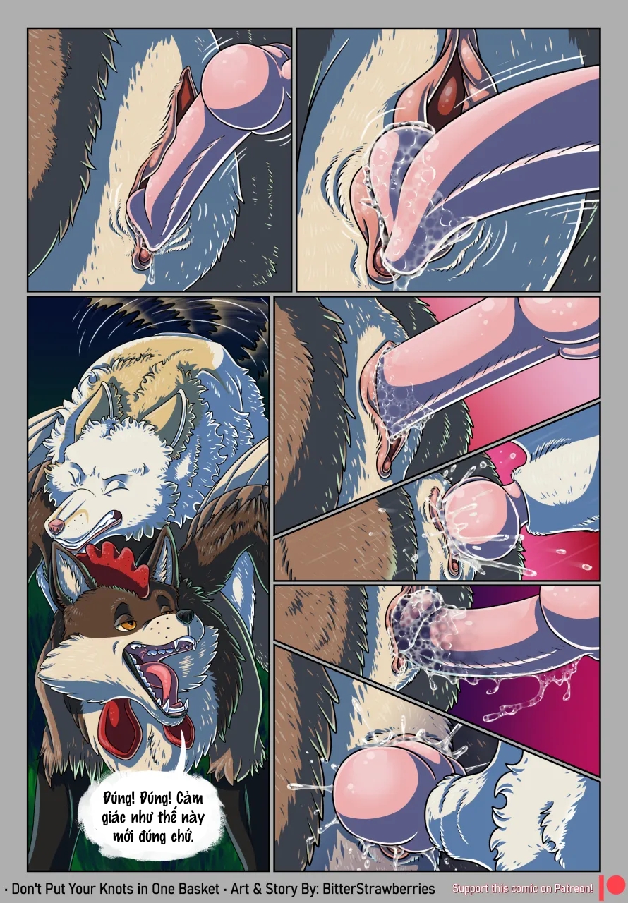 HentaiVN.net - Ảnh 30 - Don't Put Your Knots in One Basket - Chap 1