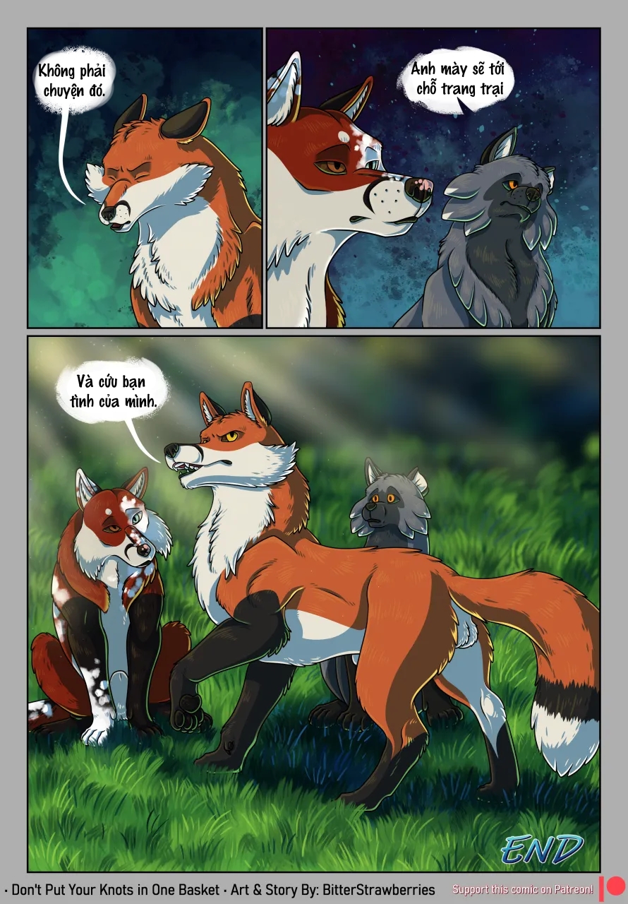HentaiVN.net - Ảnh 51 - Don't Put Your Knots in One Basket - Chap 1