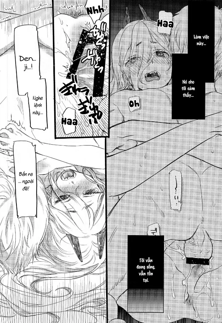 HentaiVN.net - Ảnh 14 - Like a cats - Chap 1