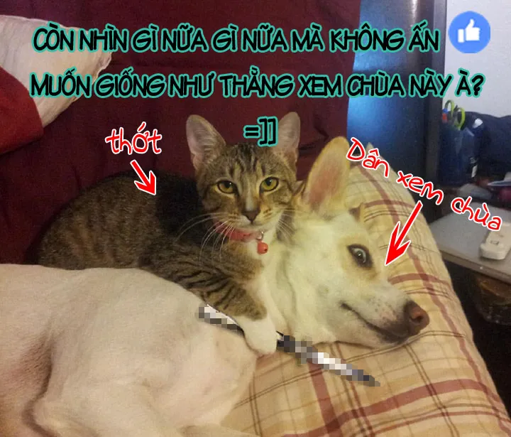 HentaiVN.net - Ảnh 21 - Chị Không Thể Dừng Lại Được... [I Just Can't Stop] - Chap 1