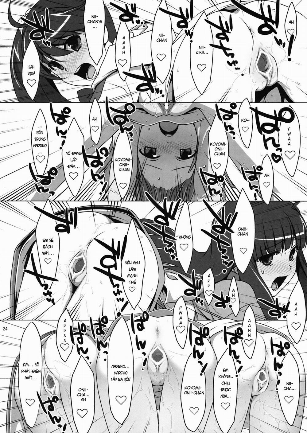 HentaiVN.net - Ảnh 22 - Onegai! FireSisters★ (Bakemonogatari) [お願いっ！FireSisters★-総集編-; Onegai! FireSisters★ -Soushuuhen-] - Chap 3