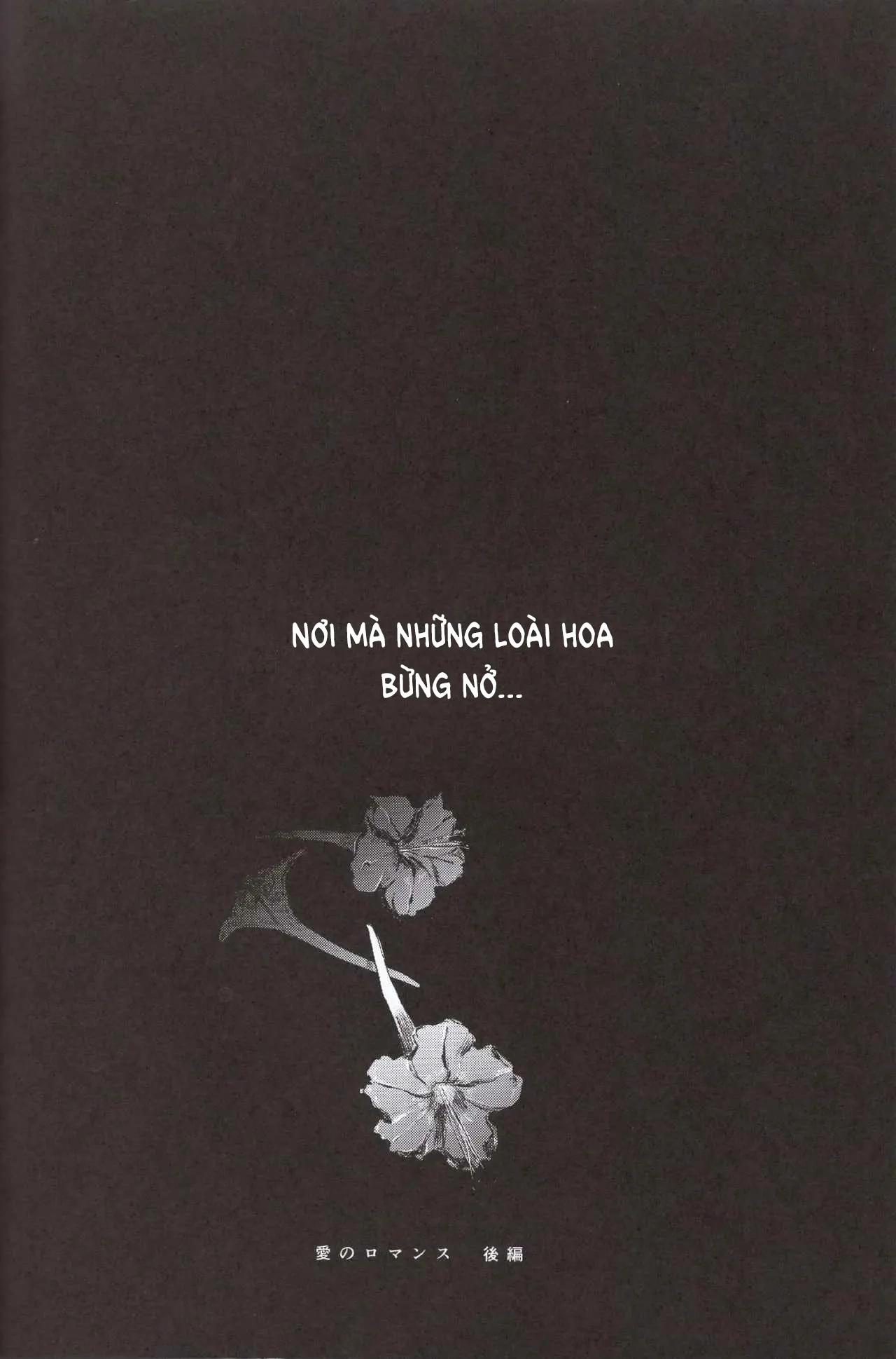 HentaiVN.net - Ảnh 6 - Bản tình ca lãng mạn. [Ai no Romance Zenpen; 愛のロマンス 前編] - Chap 2