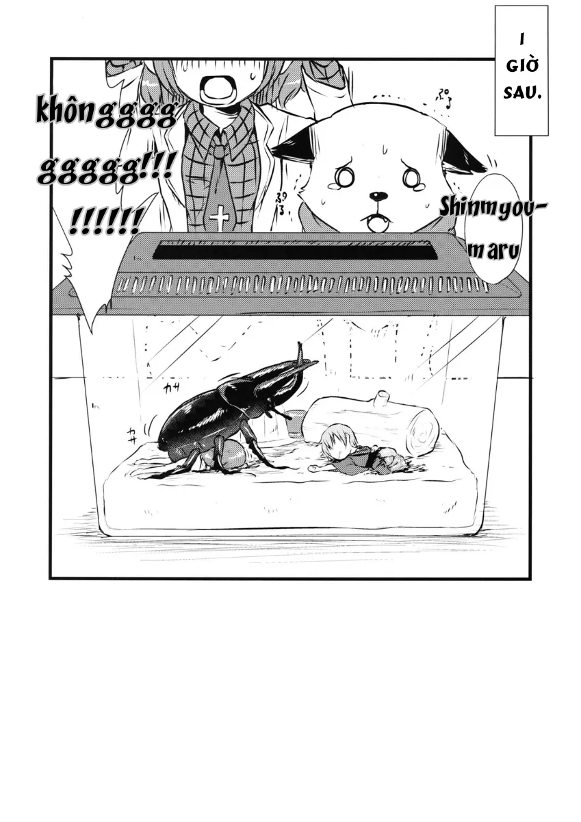 HentaiVN.net - Ảnh 10 - Em loli chơi đùa cùng con bọ và cái kết [Shinmyoumaru VS Caucasus Ookabuto ; Shinmyoumaru VS Japanese Rhinoceros Beetle] - Chap 1