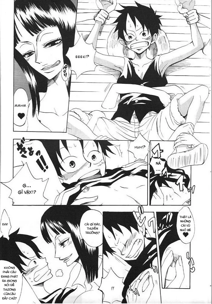 HentaiVN.net - Ảnh 12 - Kimi wa Pet (One Piece) - Chap 1